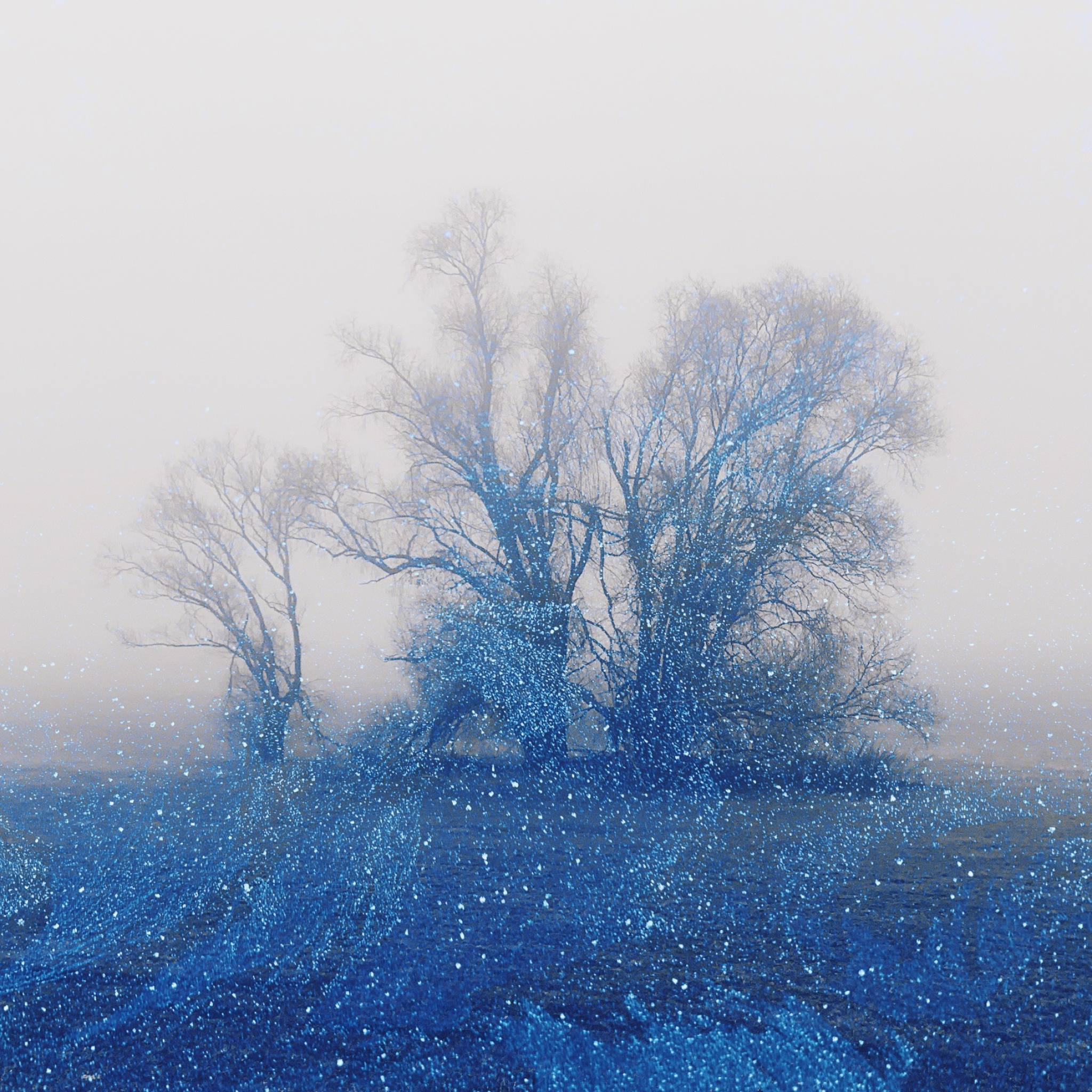 Gegenlicht — Tempelhof